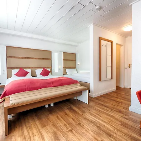 Hotel Senator 3*